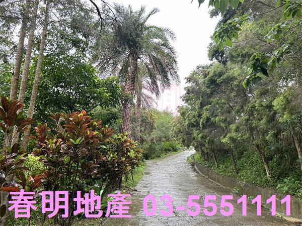 新竹寶山林地-2