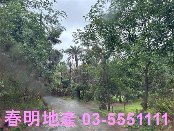 新竹寶山林地-3
