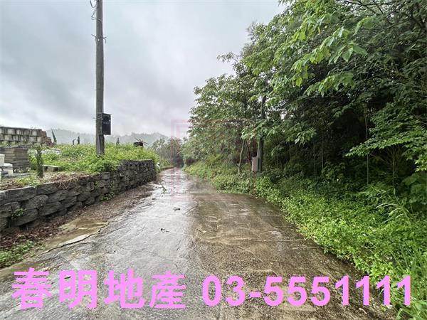 新竹寶山林地-4