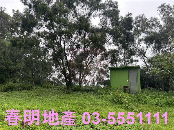 新竹寶山林地-5
