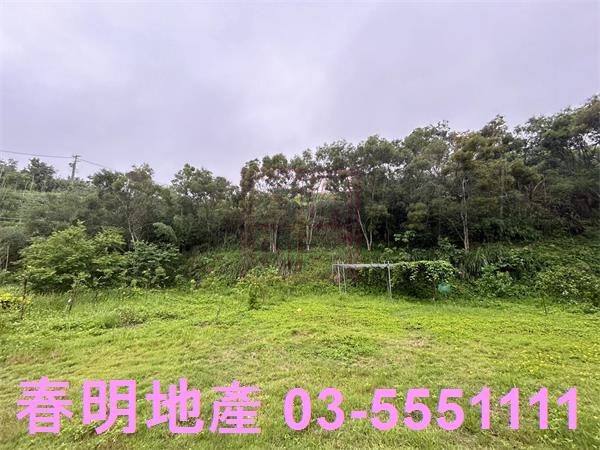 新竹寶山林地-7