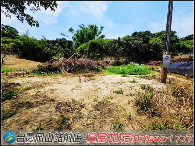 高雄大社農地-8