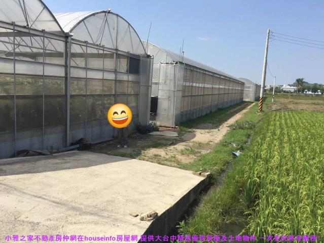 彰化花壇農地-2