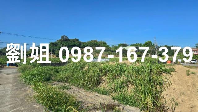 高雄燕巢農地-2