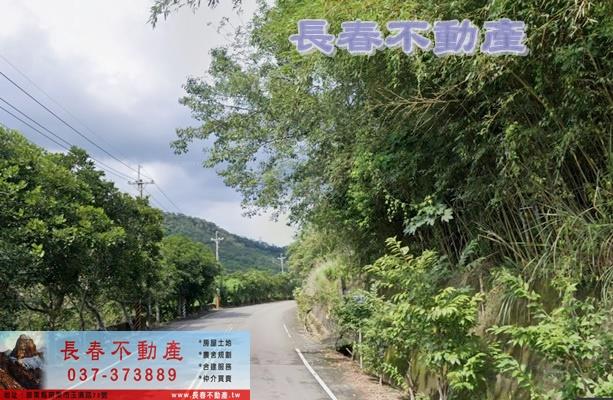 西湖農地-3