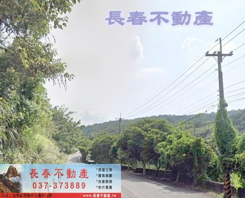 西湖農地-4