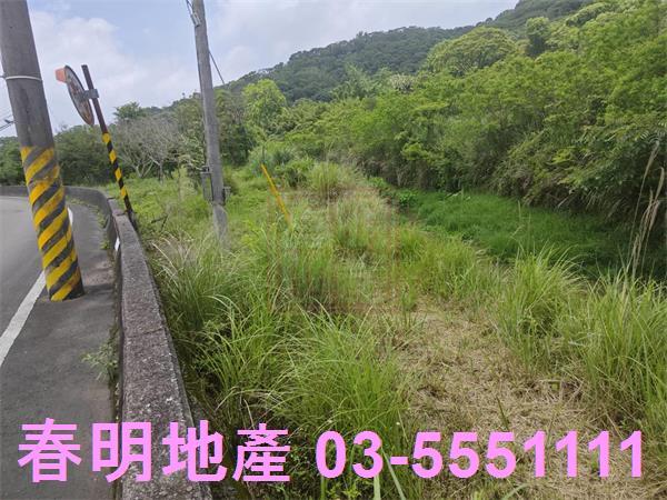 湖口農地-4