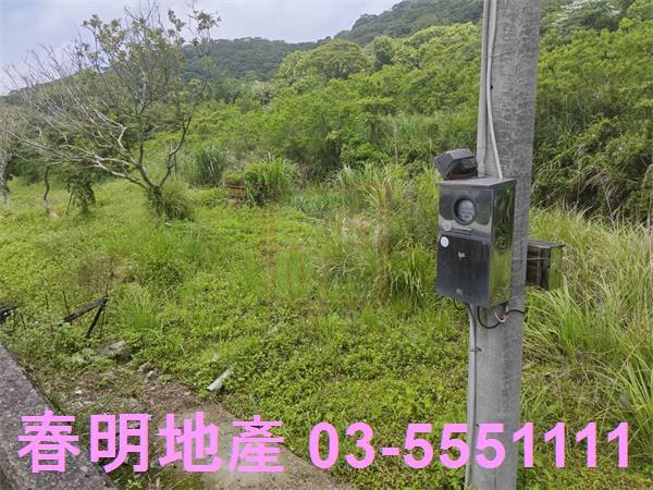 湖口農地-5