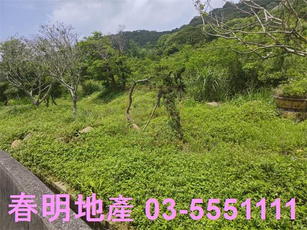 湖口農地-6