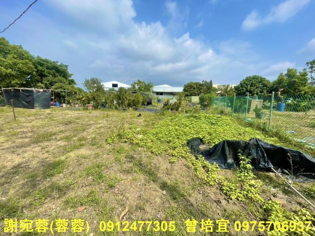 路竹農地-1