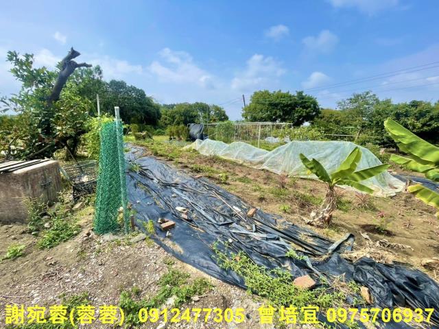 路竹農地-3