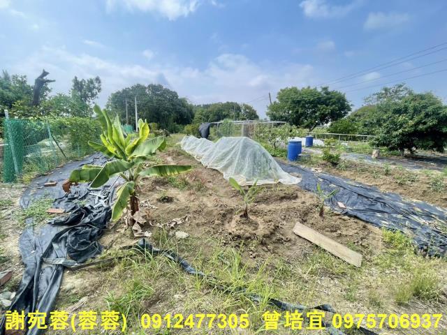 路竹農地-6