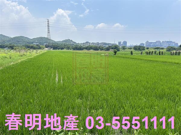 新竹農地-4
