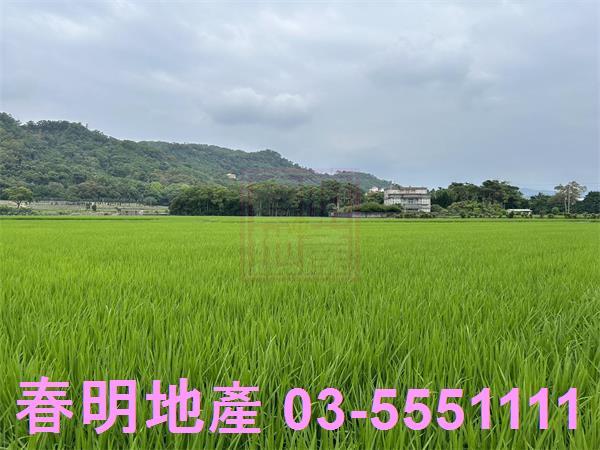 新竹農地-7