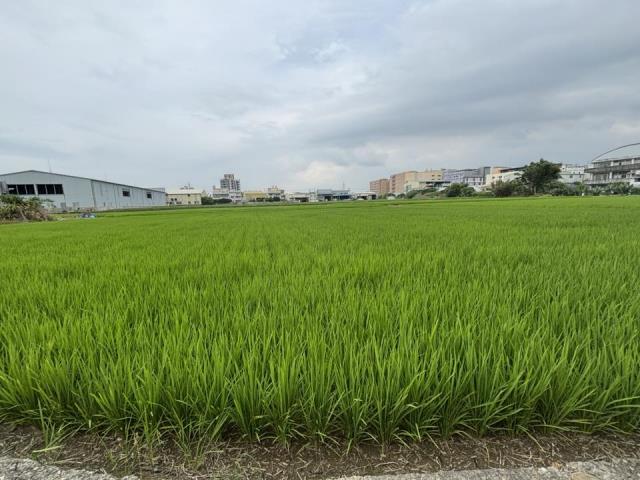 大雅農地-2