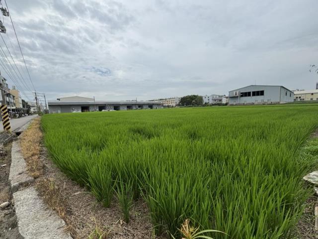 大雅農地-4