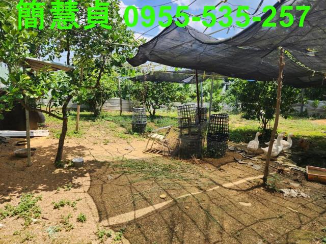 名間農地-10