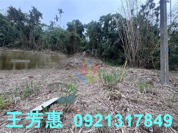 豐原工業地-11
