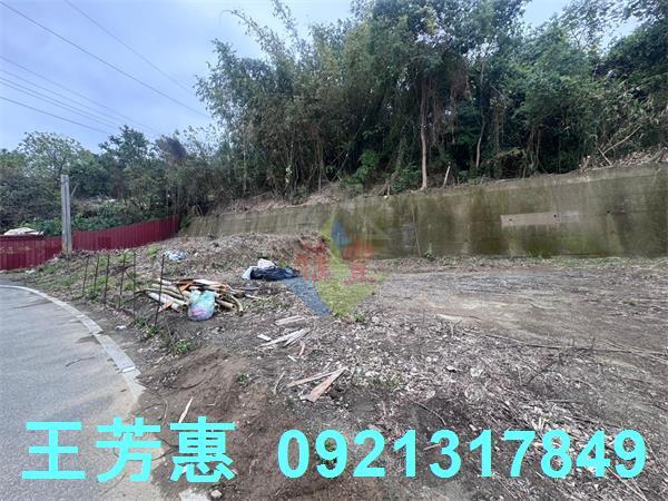 豐原工業地-7