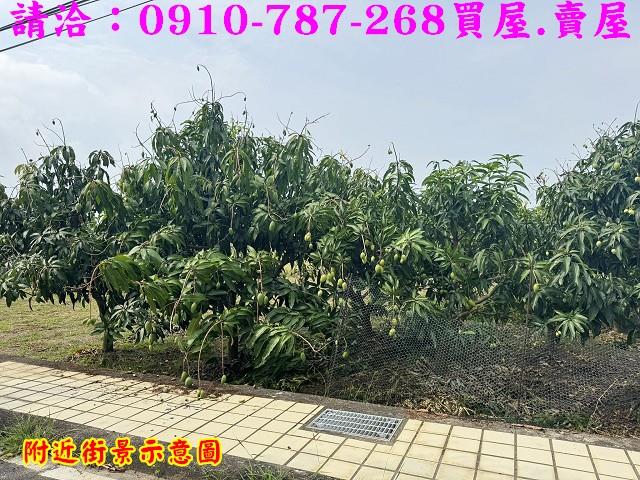 台南農地-8