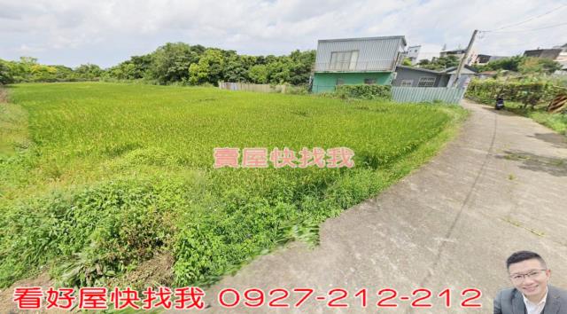 桃園農地-4