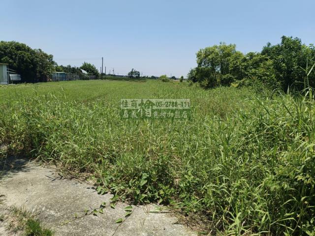 嘉義建地-6