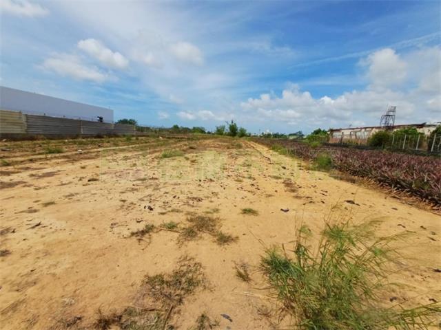 高雄大樹農地-5