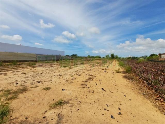 高雄大樹農地-6