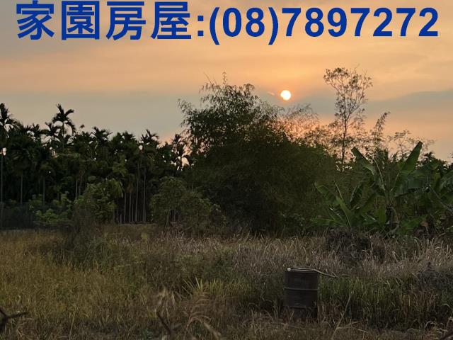 潮州農地-4