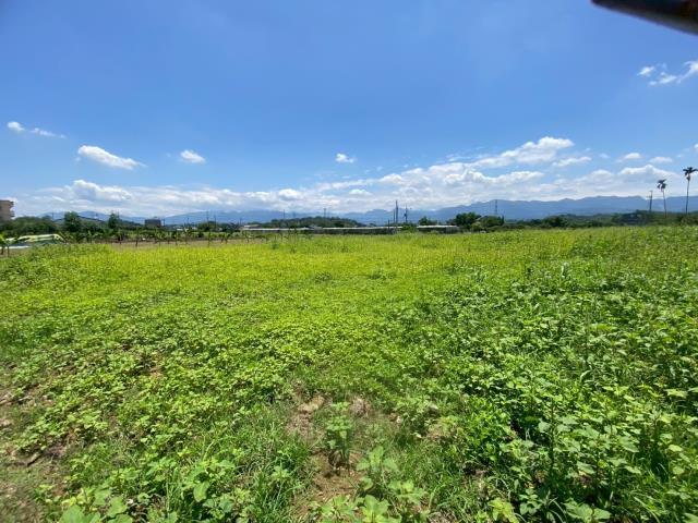 嘉義農地-11