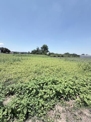 嘉義農地-1