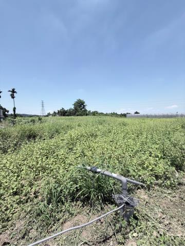嘉義農地-2