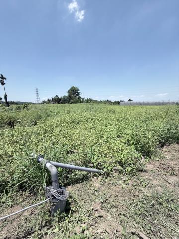 嘉義農地-3