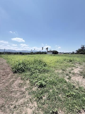 嘉義農地-6