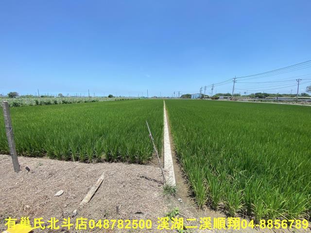彰化埤頭農地-2