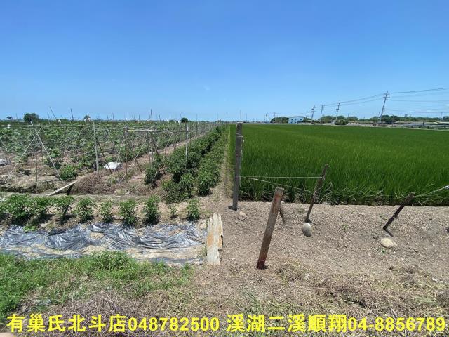 彰化埤頭農地-3