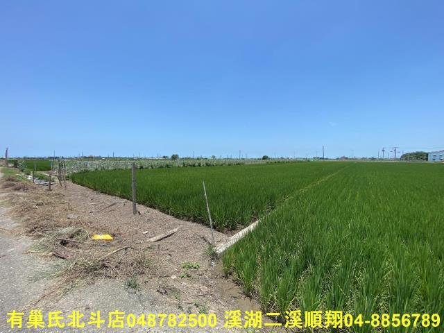 彰化埤頭農地-5