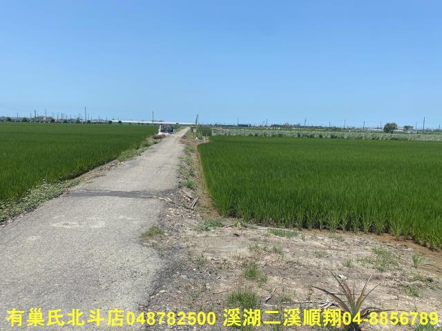 彰化埤頭農地-6