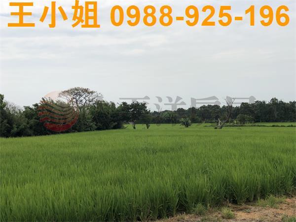 桃園新屋農地-1