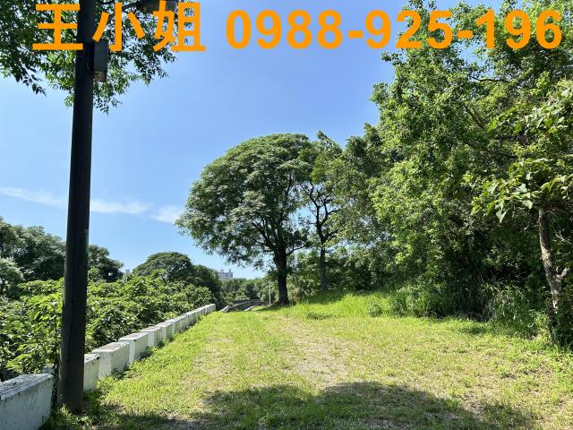 桃園桃園區農地-10