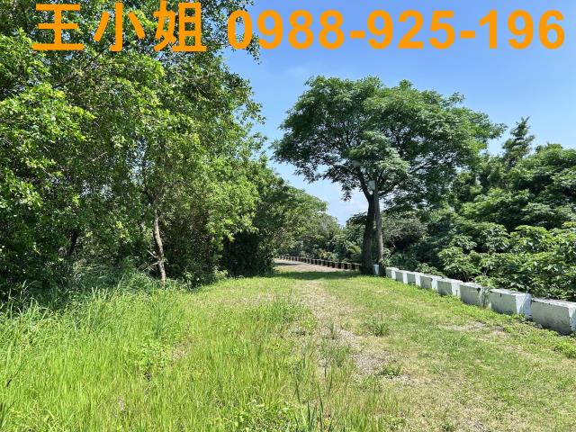 桃園桃園區農地-11