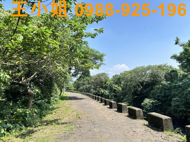 桃園桃園區農地-12
