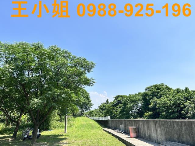 桃園桃園區農地-13