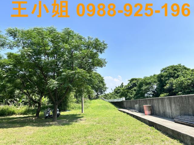 桃園桃園區農地-14