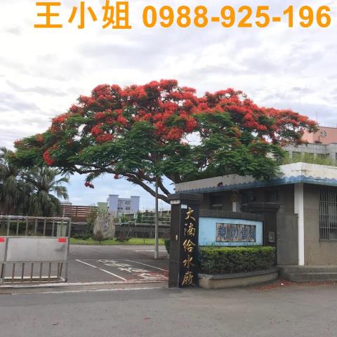 桃園桃園區農地-15