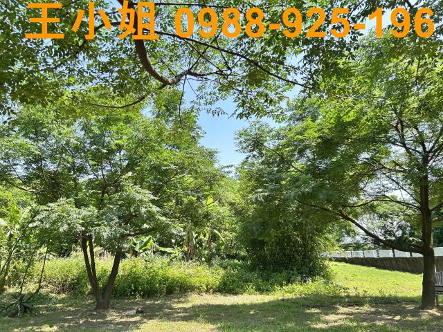 桃園桃園區農地-2