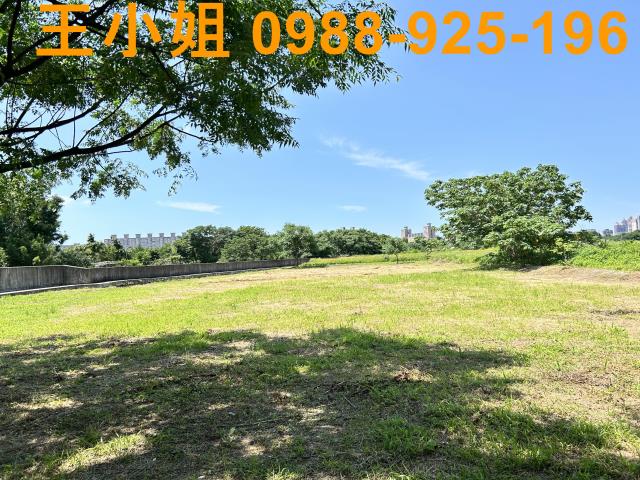 桃園桃園區農地-6