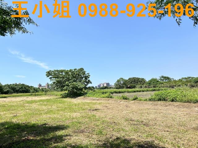 桃園桃園區農地-7