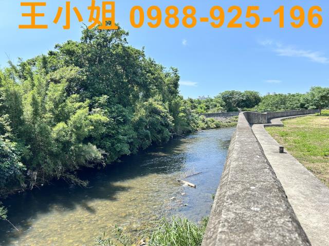 桃園桃園區農地-8