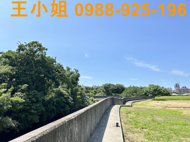 桃園桃園區農地-9